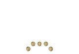 Café™ 5 Gas Cooktop Knobs - Brushed Brass