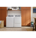 GE® 7.2 cu. ft. Capacity Electric Dryer with Spanish Panel and Up To 120 ft. Venting